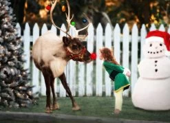 THE ELF -Fashion children's clothing store 186 2