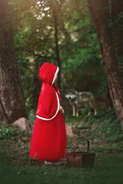 LITTLE RED RIDING HOOD -Fashion children's clothing store 415 3