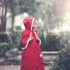 LITTLE RED RIDING HOOD -Fashion children's clothing store 481